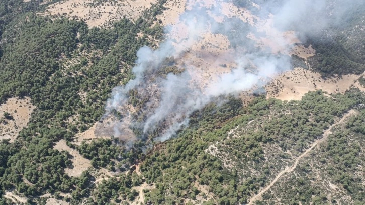 Antalya'nın Kaş ilçesinde orman yangını çıktı