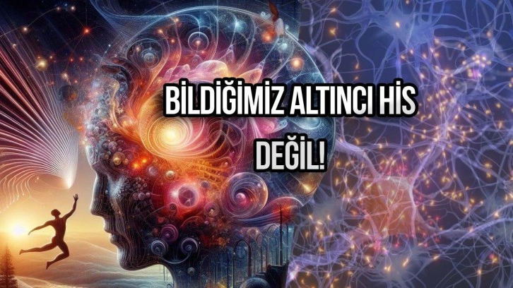 Bilim insanları sonunda altıncı hissi buldu!