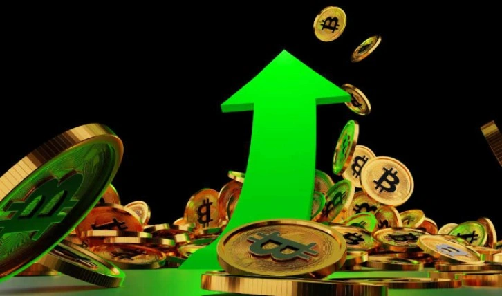 Bitcoin spot ETF'lere sermaye girişi 12 gündür sürüyor