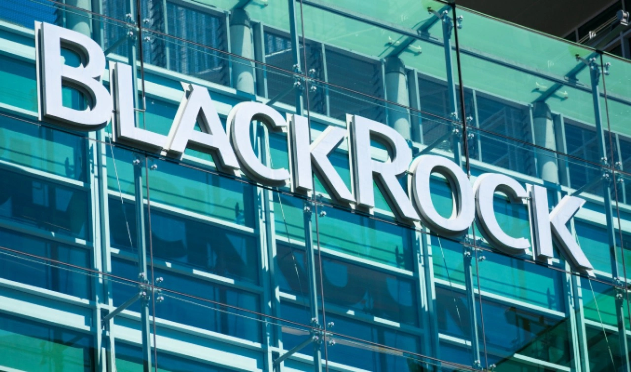 BlackRock: Bitcoin’in geleceği hala belirsiz