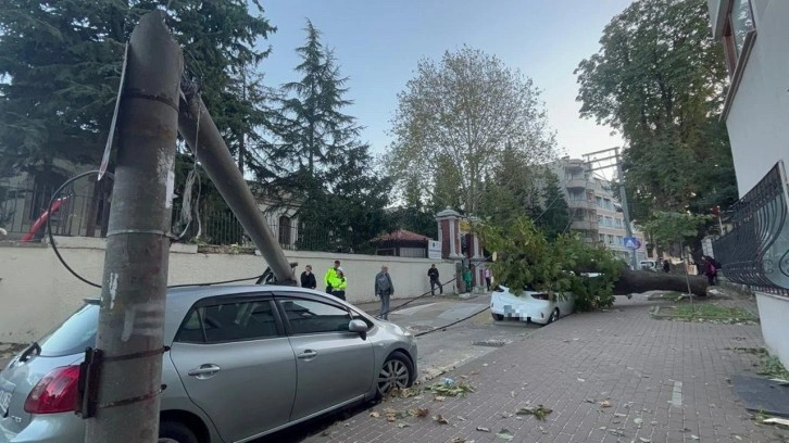 Bursa'da lodos; aydınlatma direği ile ağaç, 2 aracın üzerine devrildi