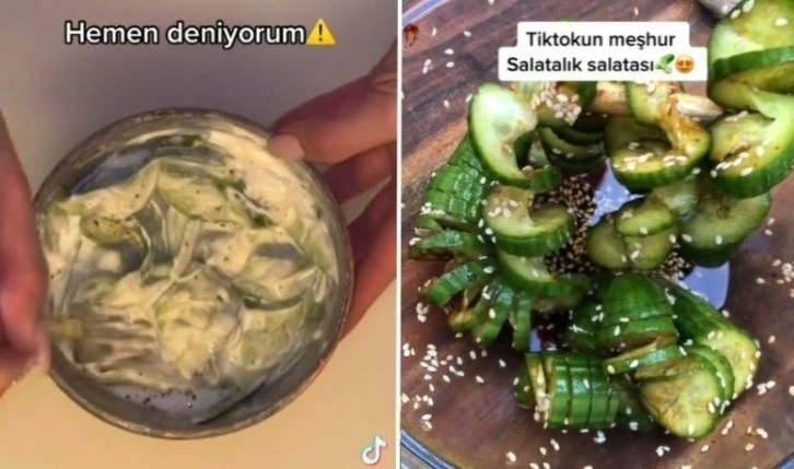 Çiftçiler, TikTok'ta yayılan 'salata tarifi' nedeniyle artan salatalık talebine yetiş