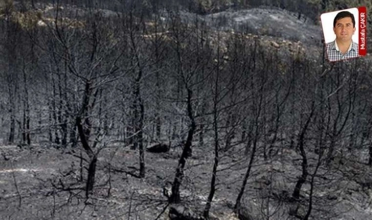 İktidar, orman işgalleriyle ilgili değişikliğin nasıl uygulanacağını ancak belirleyebildi