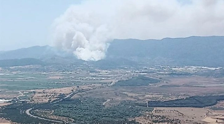 İzmir'de orman yangını