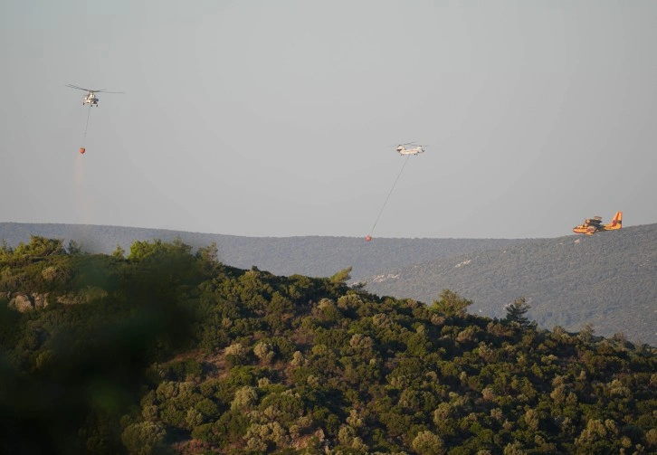 İzmir Urla’da orman yangınına müdahale sürüyor…Evler ve karavanlar tahliye edildi