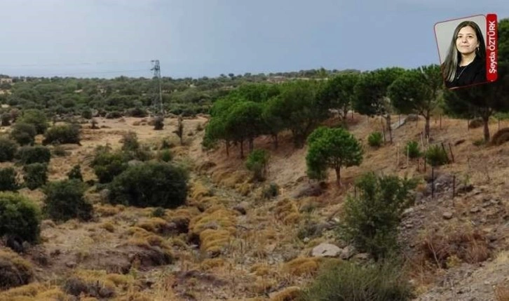 Mahkeme projeyi iptal etti, Bakrom Madencilik yeniden onay alarak çalışmaya başladı