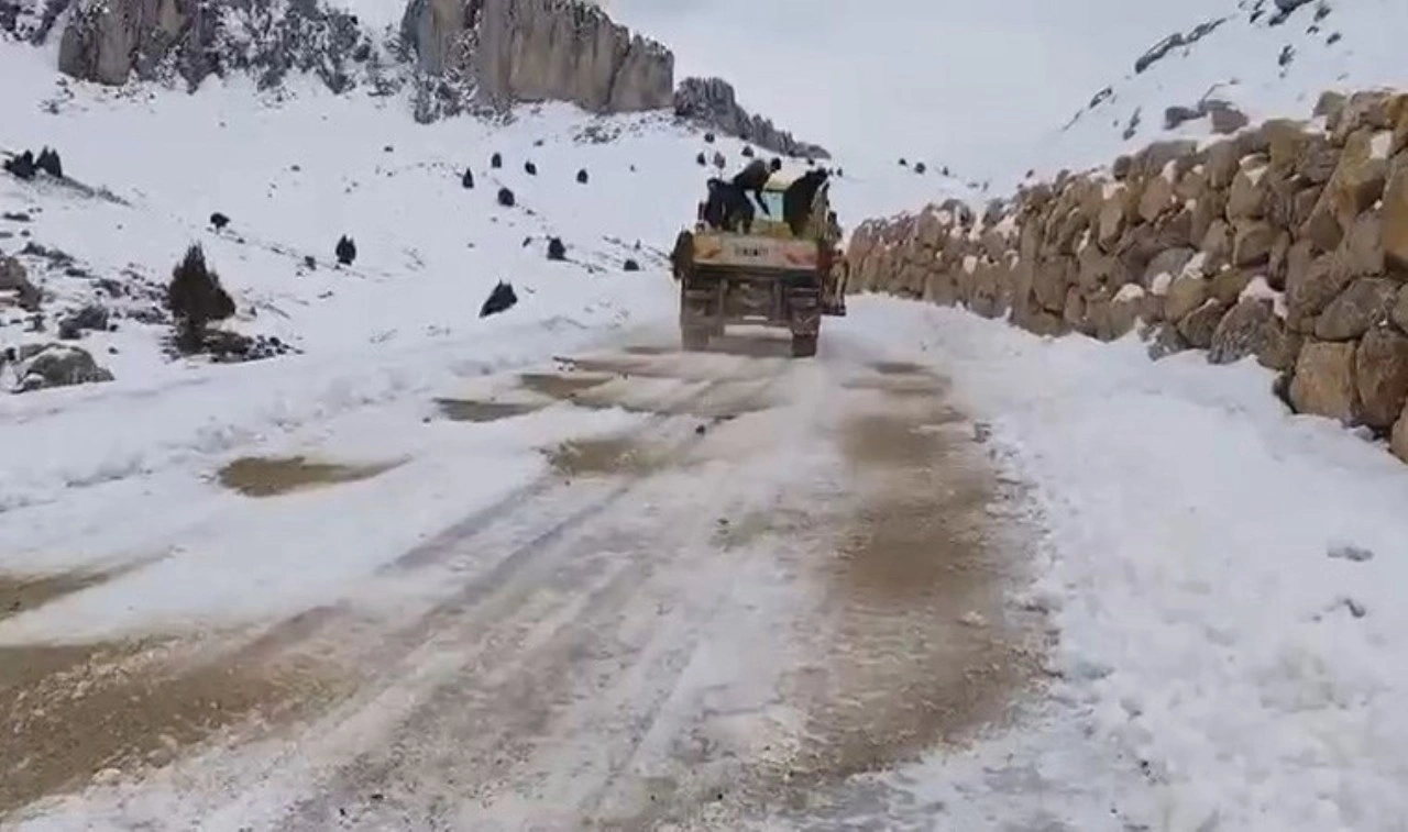 Siirt kara teslim... Eğitime ara verildi: 99 köy yolu kapandı