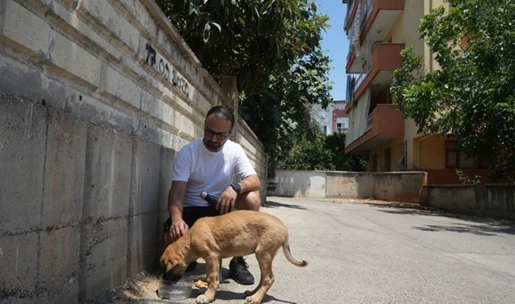 Sokak köpeğine şiddete şahit oldu, üzerine kayıtlı olmadığı için şikayetçi olamadı