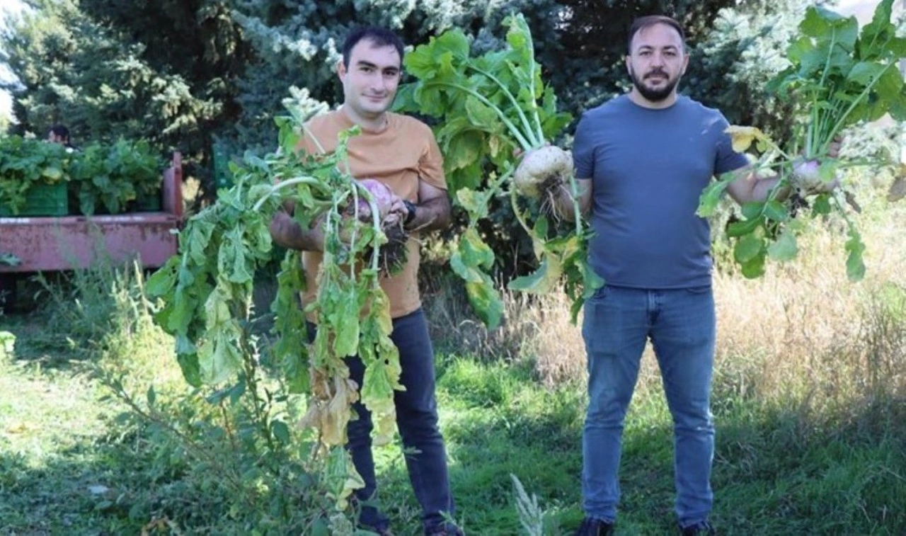 Tarlasının önünden bile geçmek yetiyor! Lokman Hekim 'yılda en az 1 kere tüketin' diyor