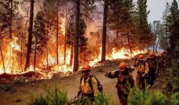 4 bin kişi evlerinden tahliye edildi: California'nın en büyük orman yangını yayılmaya devam edi