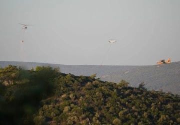 İzmir Urla’da orman yangınına müdahale sürüyor&#8230;Evler ve karavanlar tahliye edildi