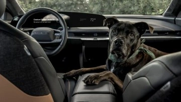 Lucid, Tesla'nın Köpek Modu alternatifini geliştirdi