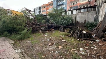 Muğla'da hortum çatıları uçurdu, ağaç ve direkleri devirdi