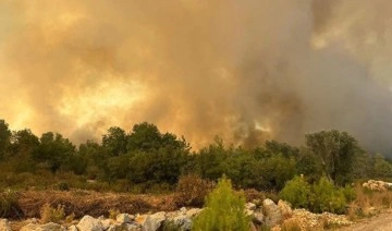 Orman yangınlarında gözler enerji dağıtım şirketlerinde