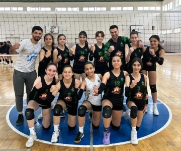 Voleybol Alt Ligler