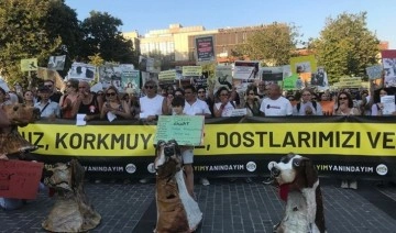 Yurttaşlar hayvan katliamı yasasına karşı toplandı: 'Soykırım noktasına geldi'